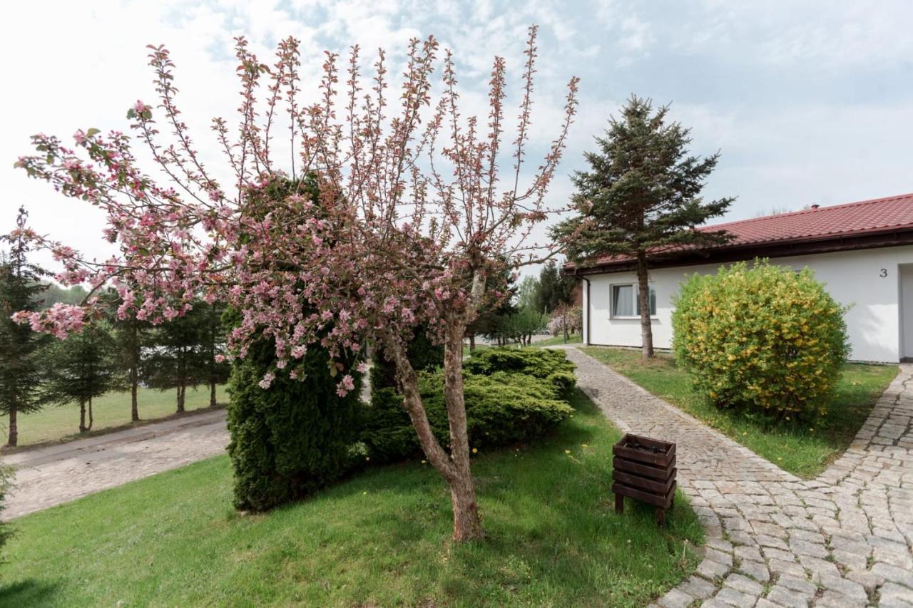 Petrico Camp *
